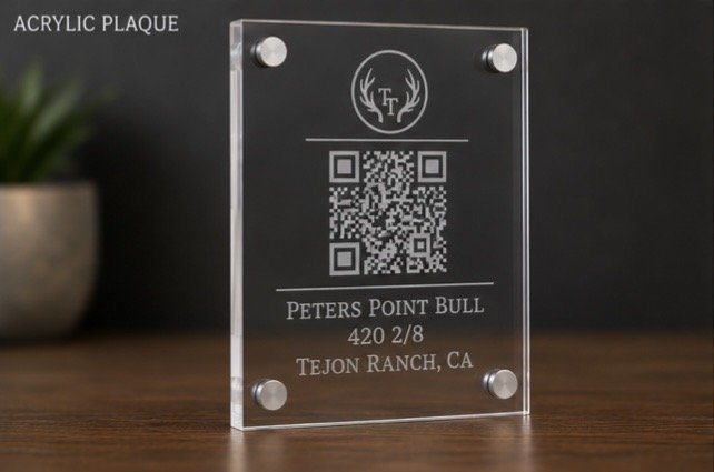 Acrylic Plaque example